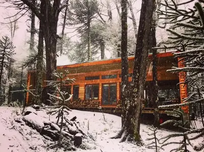 Casa Legarreta: vivienda de madera entre araucarias